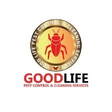 Al Ameen Bldg. Cleaning & Pest Control